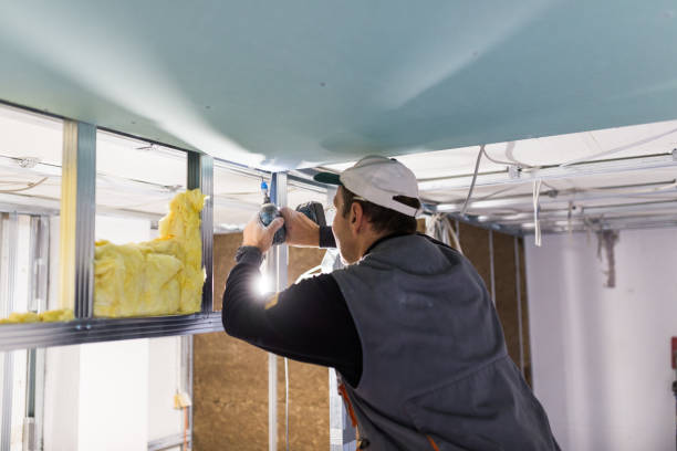 Best Local Insulation Services  in Lockport, LA