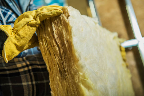 Best Fiberglass Insulation  in Lockport, LA