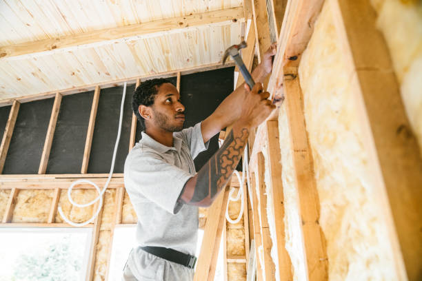 Best Wall Insulation Contractor  in Lockport, LA