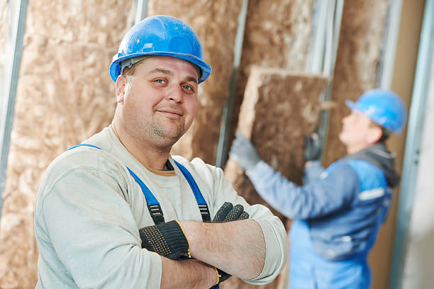 Best Insulation Replacement Services  in Lockport, LA
